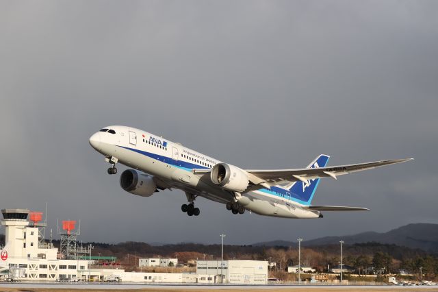 Boeing 787-8 (JA811A) - January 13, 2025:HKD-HND.