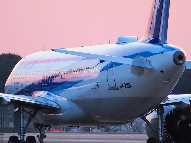 Airbus A320neo (JA218A) - I took this picture on Apr 15, 2019.br /NH492/15Apr NGO-NRT