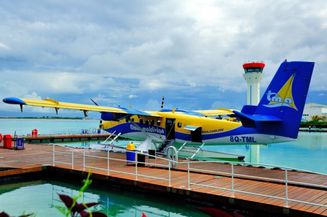 De Havilland Canada Twin Otter (8Q-TML) - 2008