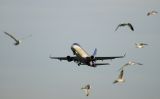 N823MD thumbnail