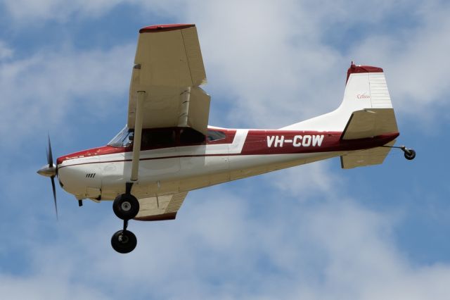 Cessna Skywagon (VH-COW)