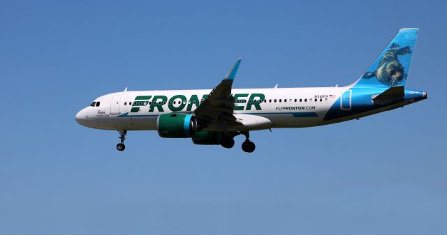 Airbus A320neo (N341FR) - On final is this 2018 Frontier Airlines Airbus 320-251N with "Fran" the Sea Lion enjoying the view in the Spring of 2021.