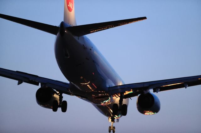 Boeing 737-800 (JA348J) - April 14th 2020:HND-HKD.