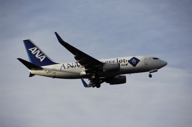 Boeing 737-700 (JA10AN) - Final Approach to NRT Airport R/W34L on 2012/01/03 ANA Business Jet