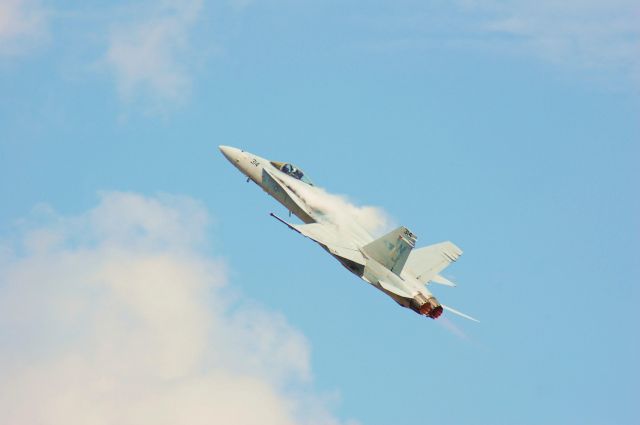 McDonnell Douglas FA-18 Hornet — - F/A-18C Hornet going vertical at Wings Over Houston 2010.