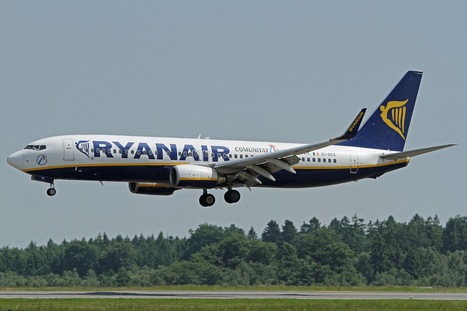 Boeing 737-800 (EI-DCX)