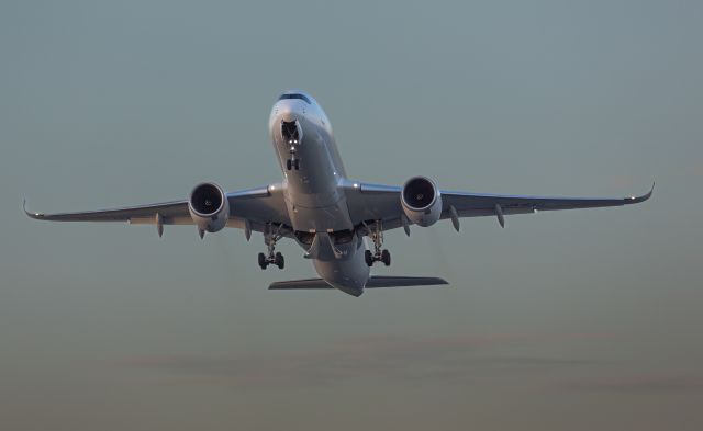 Airbus A350-900 (JA16XJ)