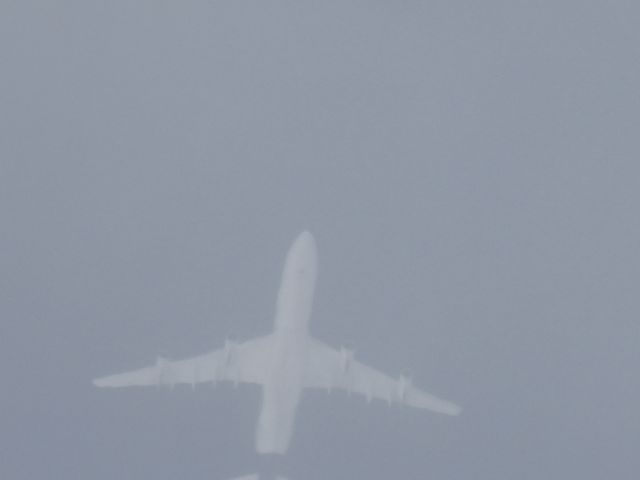 Airbus A340-300 (D-AIGU) - DLH438br /FRA-DFWbr /07/15/2025