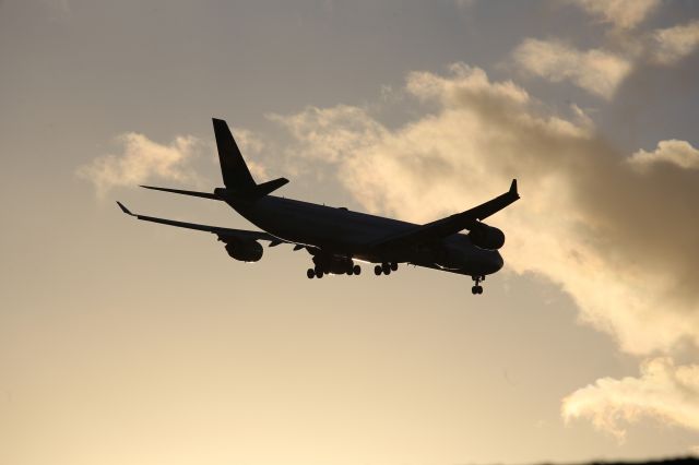 Airbus A340-600 (D-AIHF)