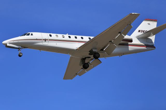 Cessna Citation Sovereign (N365QS)