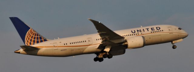 Boeing 787-8 (N20904)