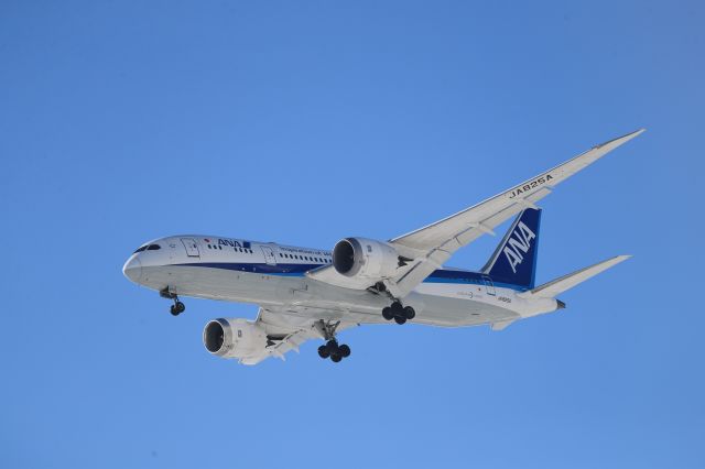 Boeing 787-8 (JA825A) - January 26th 2019:HND-HKD.