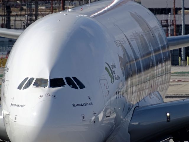 Airbus A380-800 (A6-EOM)