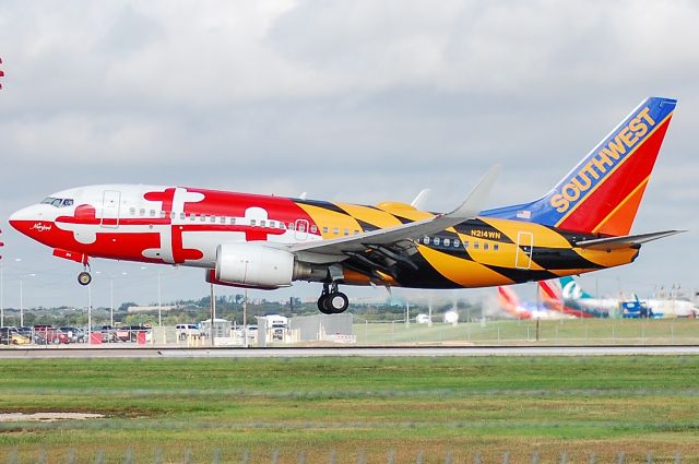 Boeing 737-700 (N214WN) - Touching down on 17L at Austin Bergstrom. From the official Family Viewing Area.