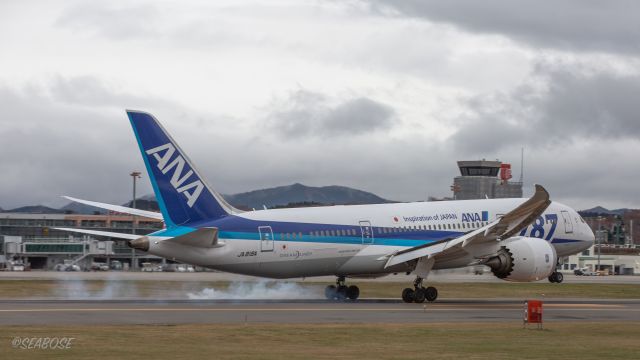 Boeing 787-8 (JA818A) - ANA 87-8 Dreamliner / Boeing787-881br /Nov.08.2015 Hakodate Airport [HKD/RJCH] JAPAN