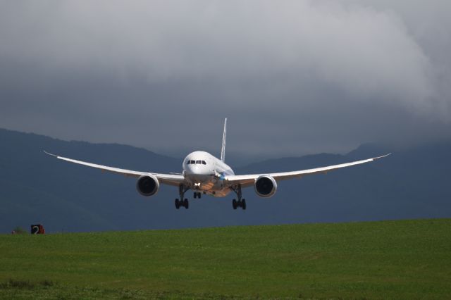 Boeing 787-9 Dreamliner (JA833A) - July 28th 2019:HND-HKD.