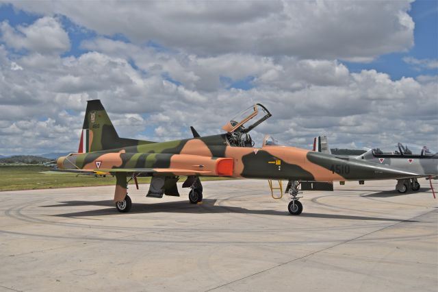 FAM4510 — - Mexican Air Force F-5E Tiger II, in exhibition on last year (2019) in Santa Lucia Air Base.