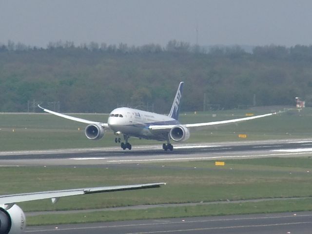 Boeing 787-8 (JA827A) - Ein Dreamliner der ANA mit der Reg JA827A landet am 12.04.2014 in DUS. So extrem wie beim Dreamliner biegen sich die Flügel bei keinem anderen Typen durch.