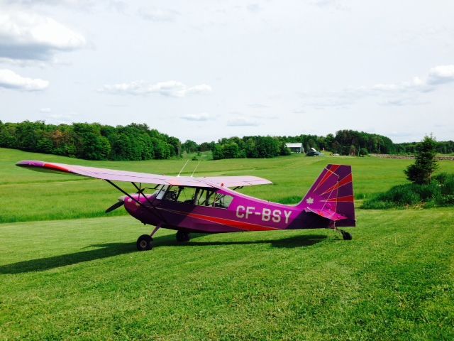 CHAMPION Sky-Trac (C-FBSY) - Grass strip north of Milford Bay, Muskoka, Canada. 