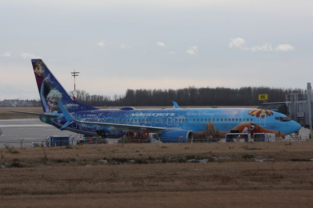 Boeing 737-800 (C-GWSV) - At gate in Edmonton for unloading.