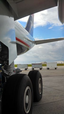Airbus A330-200 (N288AY) - GEAR OF N288AY
