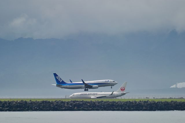 Boeing 787-3 (JA55AN) - and JA313J(JAL)