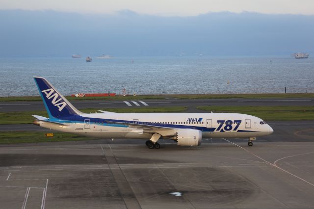 Boeing 787-8 (JA810A)