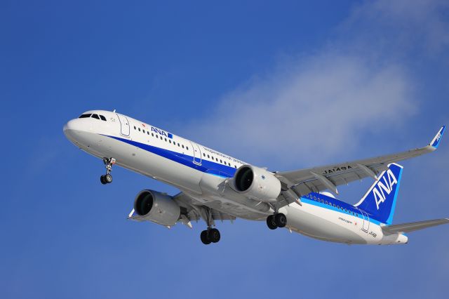 Airbus A321neo (JA149A) - January 1st 2022:HND-HKD.