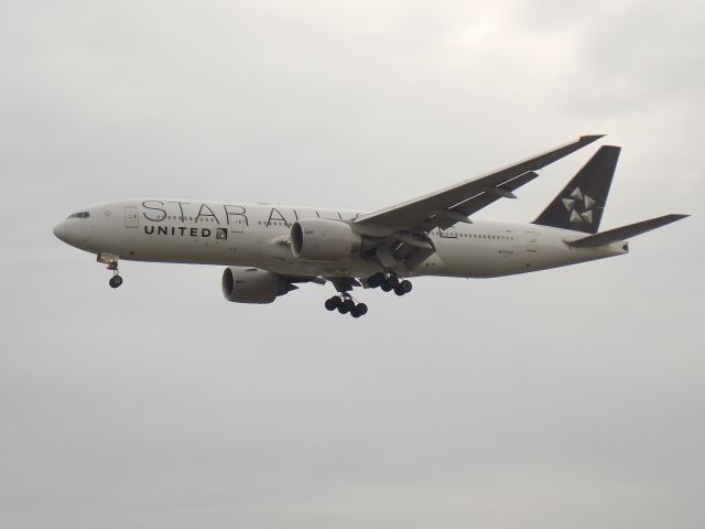 Boeing 777-200 (N77022) - in a STAR ALLIANCE LIVERY