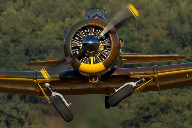 North American T-6 Texan (D-FAME)