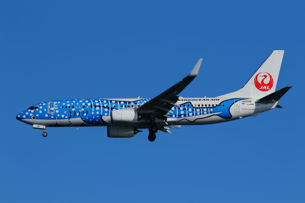 Boeing 737-800 (JA05RK)