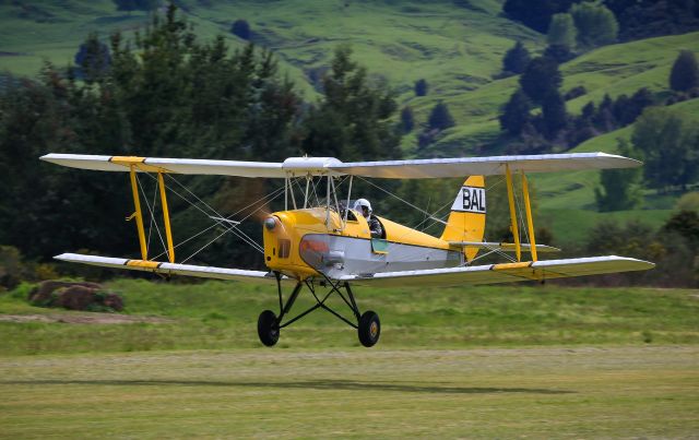 OGMA Tiger Moth (ZK-BAL)