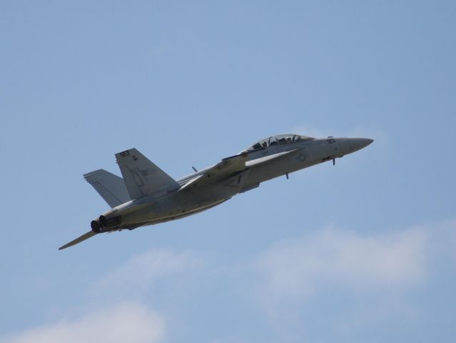 McDonnell Douglas FA-18 Hornet (VVNJ123)