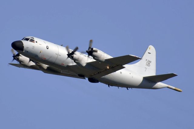 PACAERO Learstar (FAB7202)