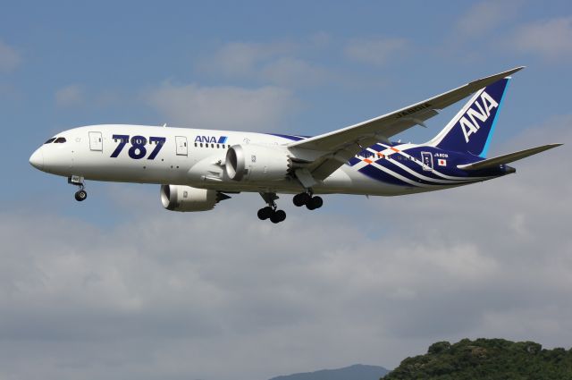 Boeing 787-8 (JA801A)