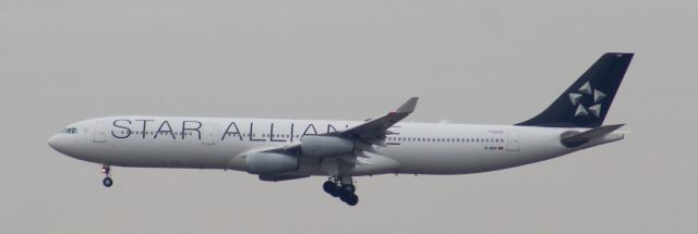 Airbus A340-300 (D-AIFF) - Landing from Franfurt Germany