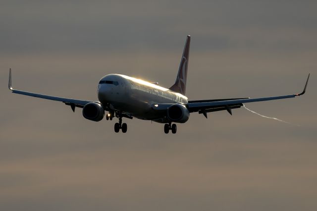 Boeing 737-900 (TC-JYO) - Early morning