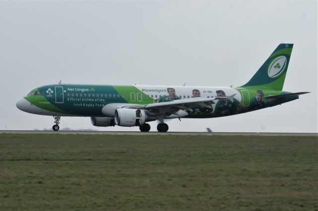 Airbus A320 (EI-DEI) - St Cornelius, Irish Rugby Team Livery