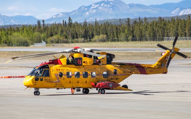 WESTLAND Merlin (14-9903)