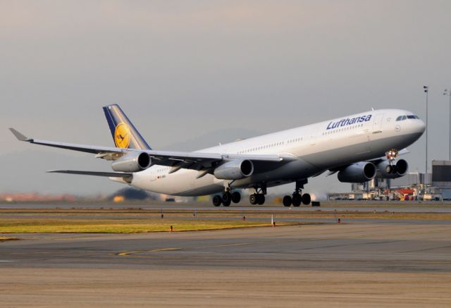 Airbus A340-300 (D-AIGI)