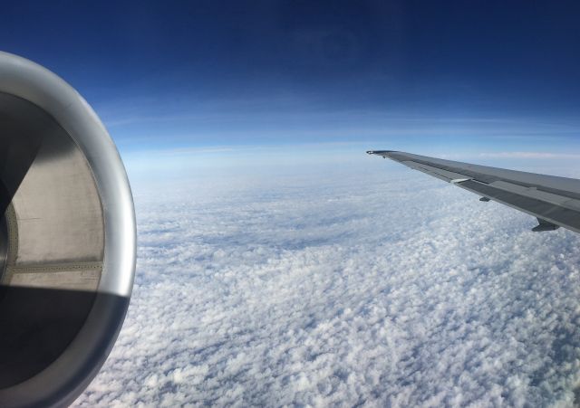 McDonnell Douglas MD-90 — - High over Texas enroute from SAT to ATL.