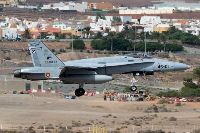 McDonnell Douglas FA-18 Hornet (C1573)