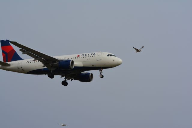 Airbus A319 (N345NB)