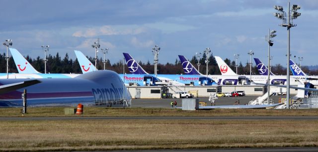 Boeing 787-8 (G-TUIA) - Thomson Airways 787s G-TUIA and G-TUIB on the Boeing Everett flightline February 7, 2013.