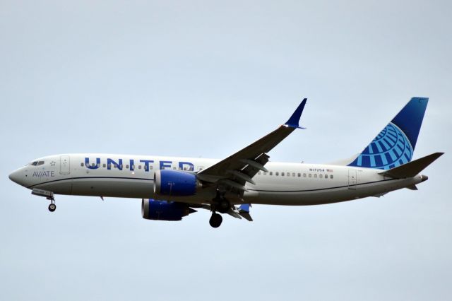 Boeing 737 MAX 8 (N17254) - United 1264 from Newark 