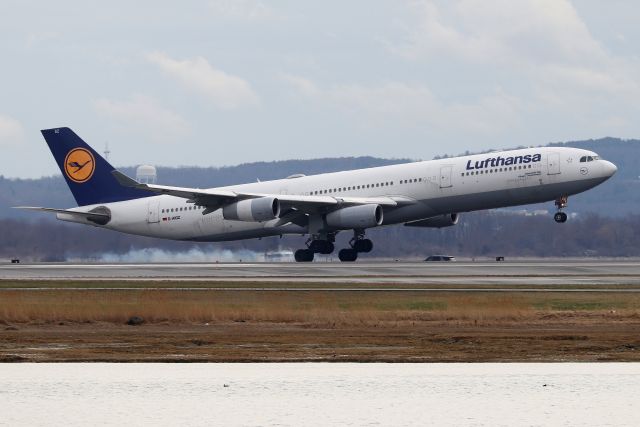 D-AIGZ — - 'Lufthansa 5 Alpha Foxtrot' from Frankfurt touching down on 33L