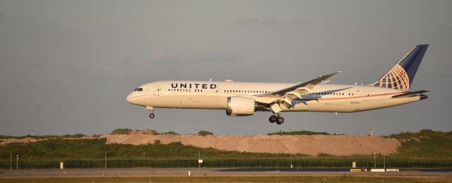 Boeing 787-8 (N27965) - LANDING UNDER SUNSET SHINE
