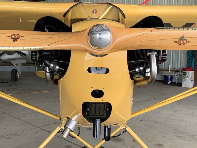 Piper NE Cub (N24500)