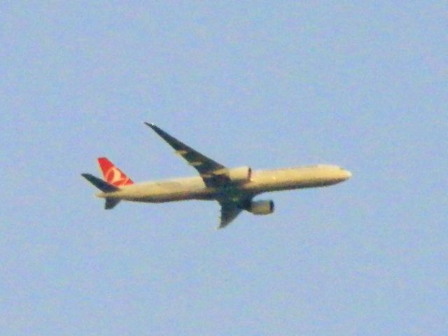 BOEING 777-300ER (TC-JJL) - A Turkish Airlines B777-300ER"Descending"Into Miami Airspace