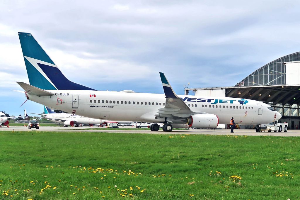 Boeing 737-800 (C-GJLS)